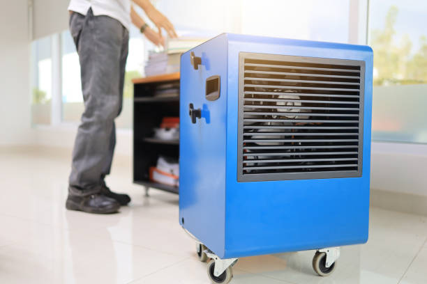 Trusted Grove, OK Mold Removal Experts
