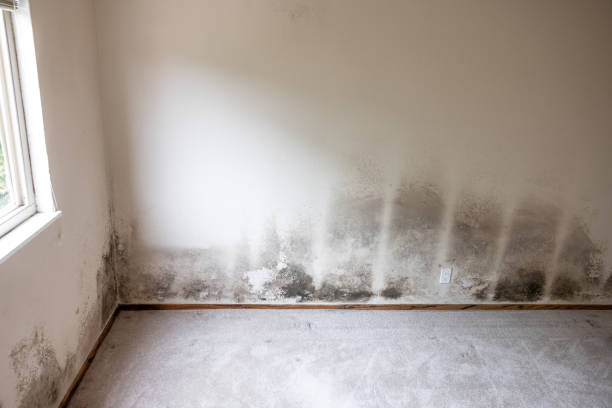 Mold Remediation for Rental Properties in Grove, OK